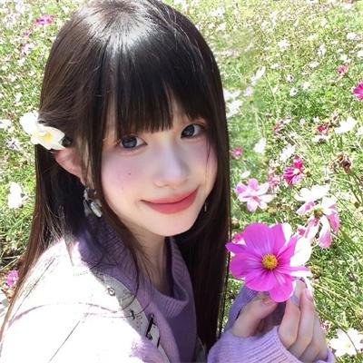 小象守护者
